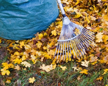 YARD CLEANUPS